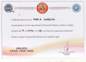 Certificado de asistencia de Curso de Prevención Primaria y Primeros Auxilios 2019 Magdalena Dalla Lasta (Asistente Jr)
